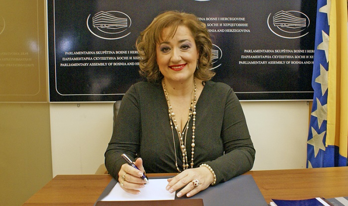 Election in Azerbaijan transparent, democratic 